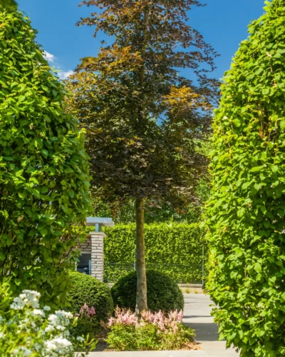 Landscape services in Georgia.